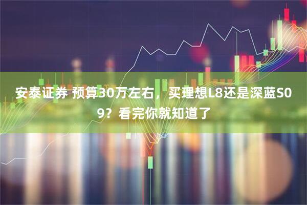 安泰证券 预算30万左右,买理想L8还是深蓝S09?看完你就知道了